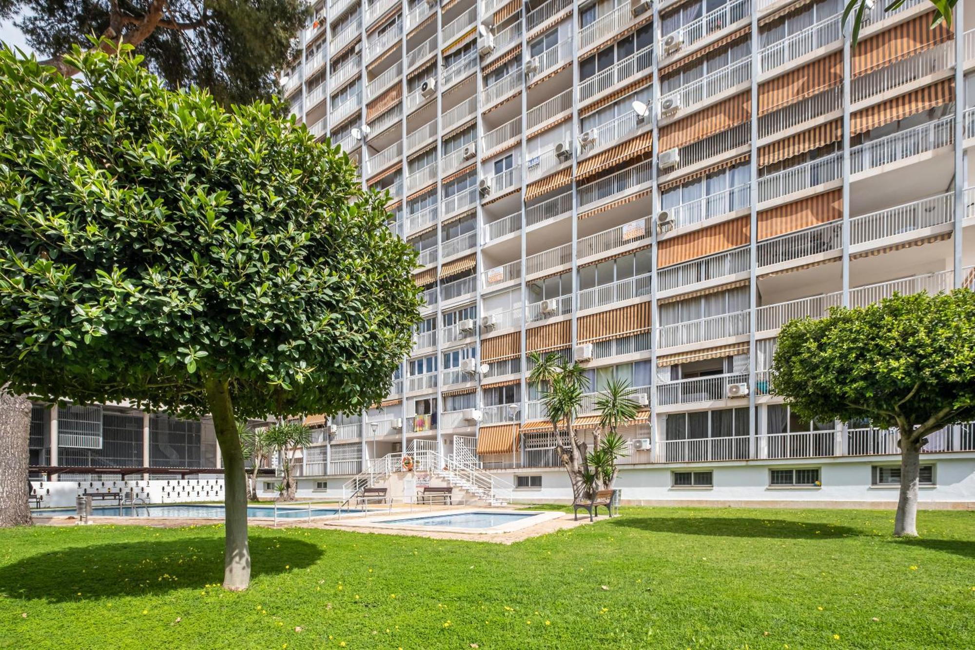 Albatros 2-6 Estudio Levante Beach Benidorm Bagian luar foto